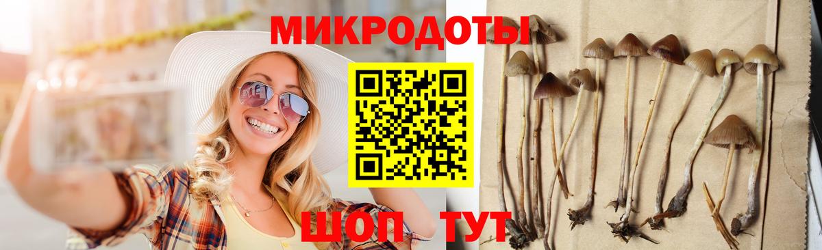 Галлюциногенные грибы Magic Shrooms  Галлюциногенные грибы GOLDEN TEACHER  Ревда  Вход с VPN 